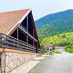 Chalet Aselinos Forest Estate *