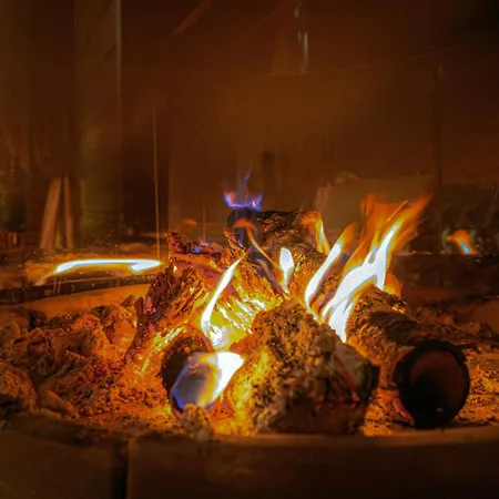 Chalet Aselinos Forest Estate