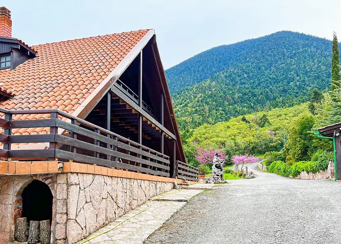 Chalet Aselinos Forest Estate *