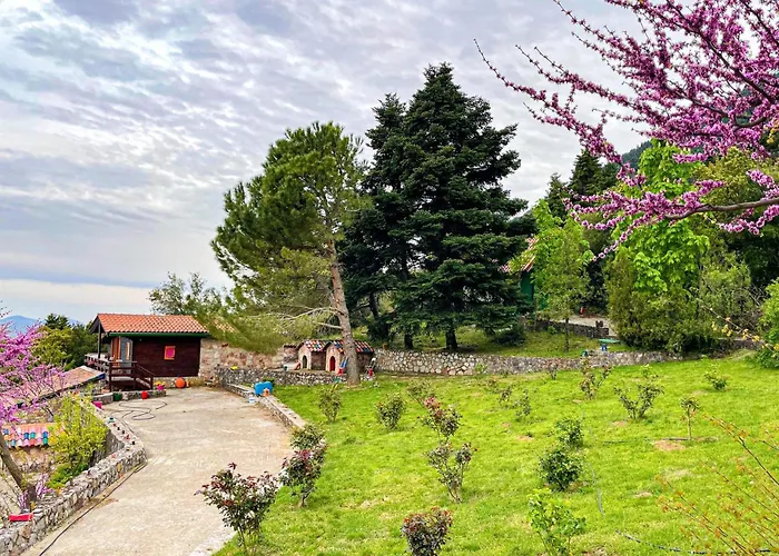 Chalet Aselinos Forest Estate Amfissa