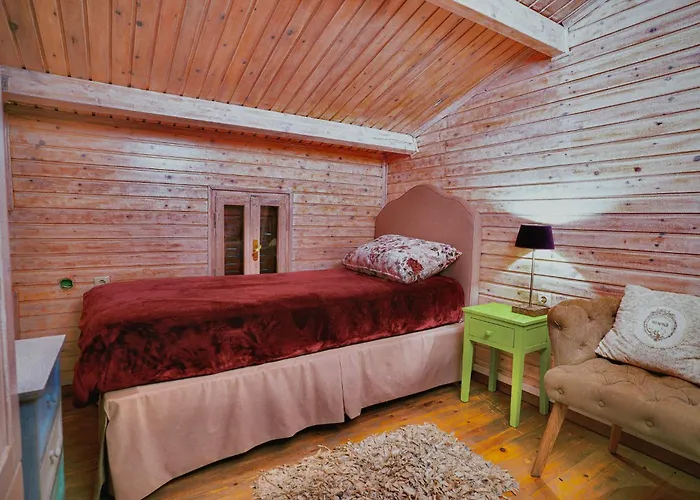 Chalet Aselinos Forest Estate *